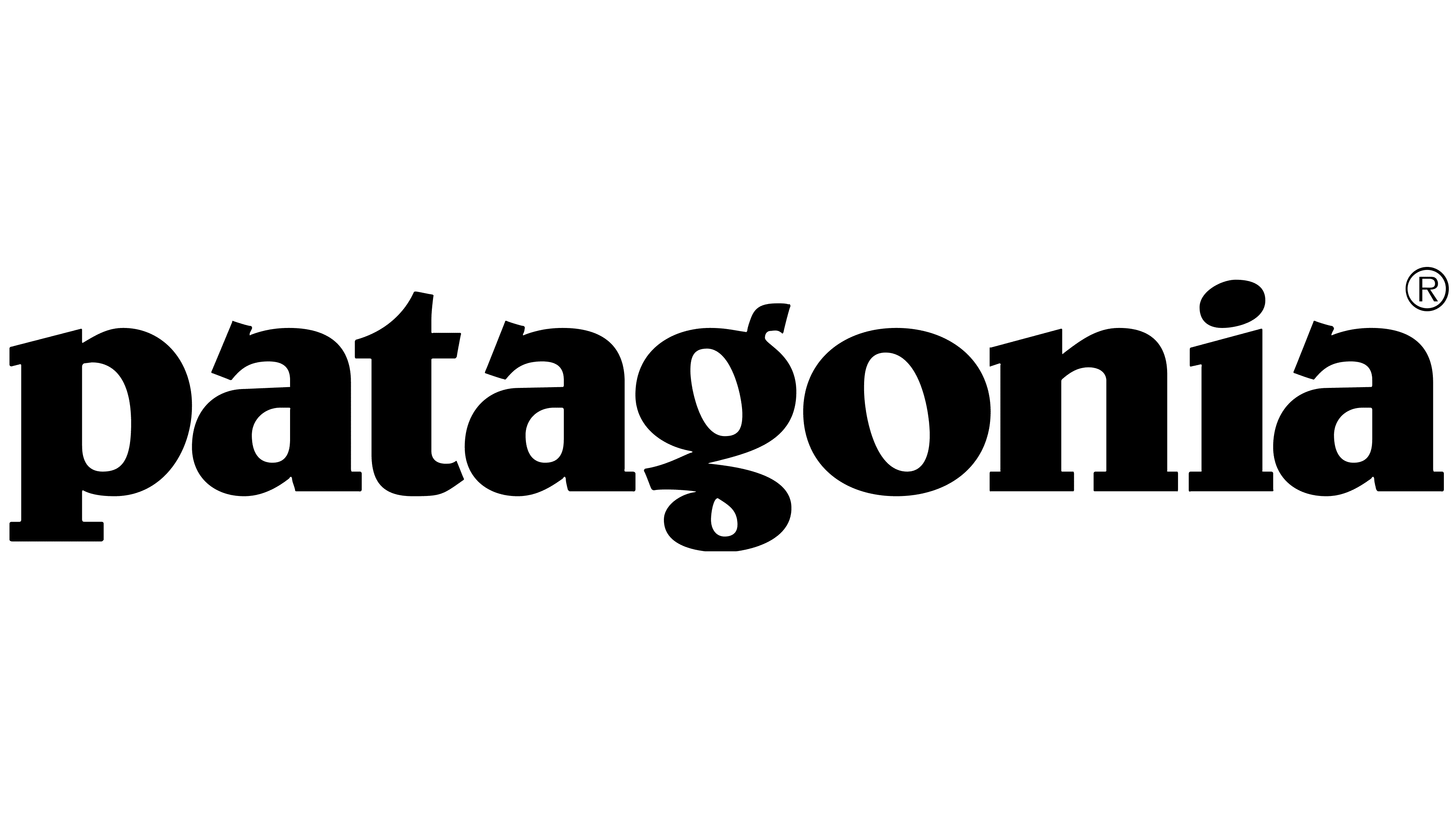 The Patagonia brand logo is seen in black font.